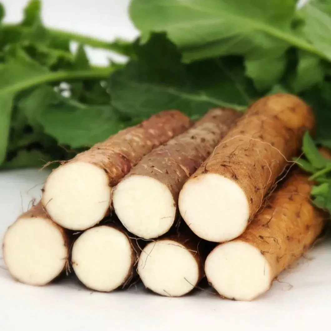 Factory Supply Best Price Fresh Chinese Huaishan Yam