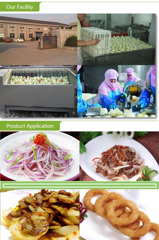 Frozen Peeled Onion Cuts 10*10 mm IQF Green Onion Diced for Europe Market