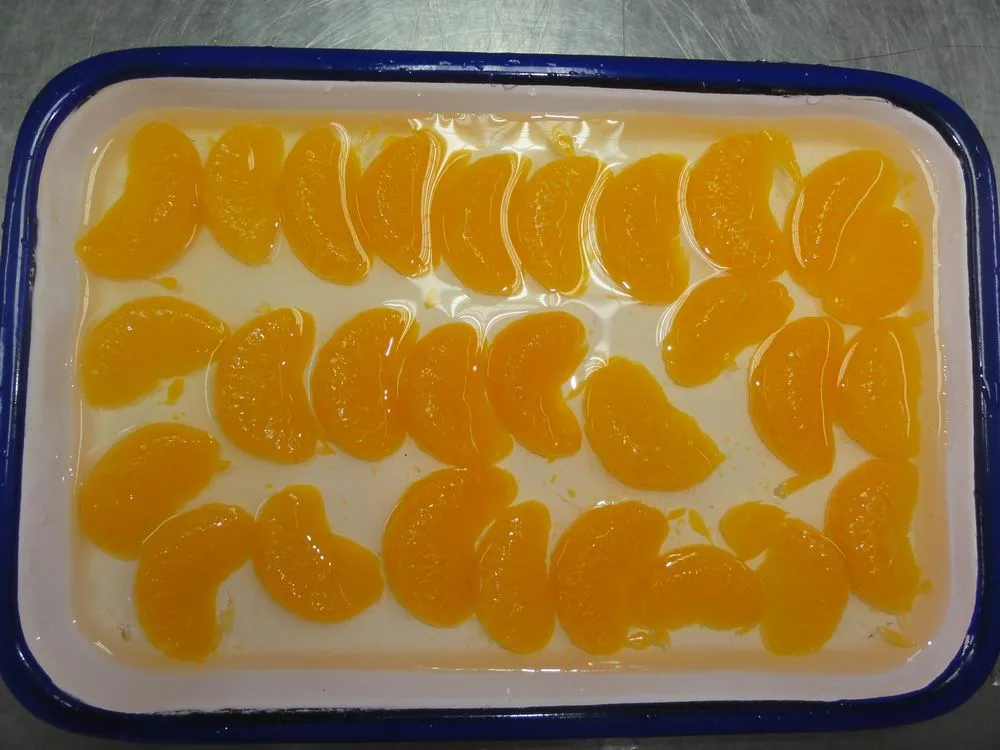 High Quality Canned Orange in Light Syrup