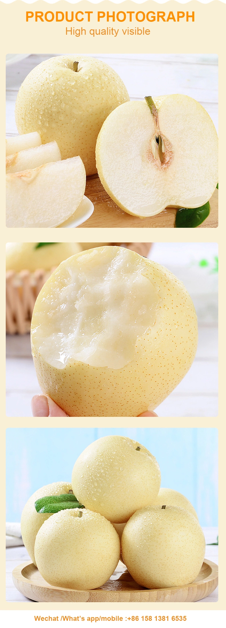 Wholesale Sweet Juicy Chinese Fresh Crown Pear with High Quality