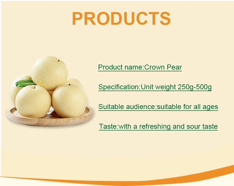 Wholesale Sweet Juicy Chinese Fresh Crown Pear with High Quality