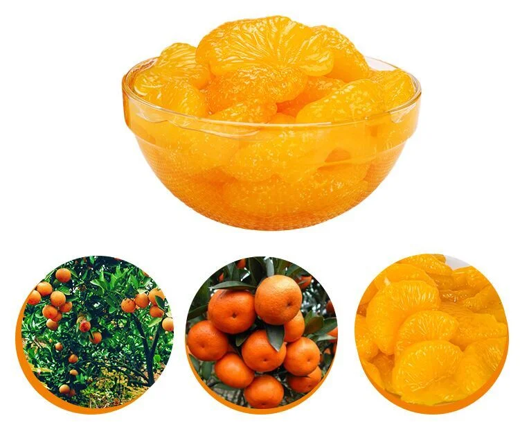 High Quality Canned Orange in Light Syrup