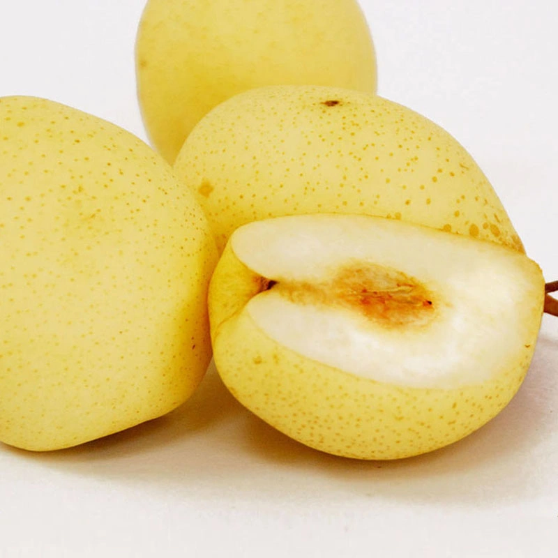 Chinese/China Fresh Pear Ya/Golden Pear