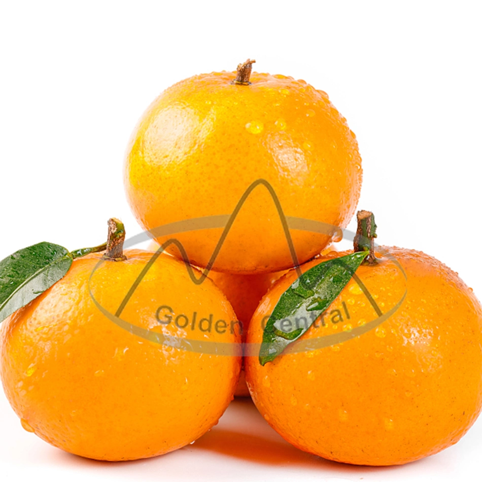 Chinese Fresh Wogan Special Orange Sour Sweet