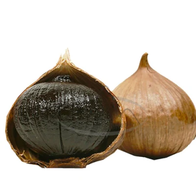 Top Quality Wholesale Black Garlic Exporter From Shandong