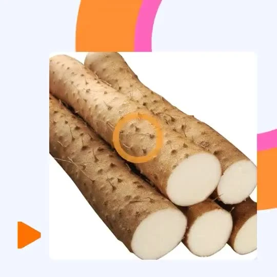 New Crop Delicious Chinese Yam Fresh Yam (Dia: 2