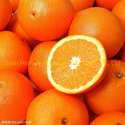 Fresh Honey Orange/Mandarin Orange in China