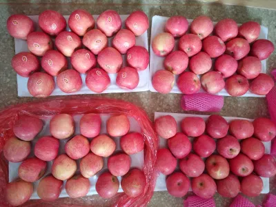 2022 New Crop Yantai Apple Chinese Fresh FUJI Apple