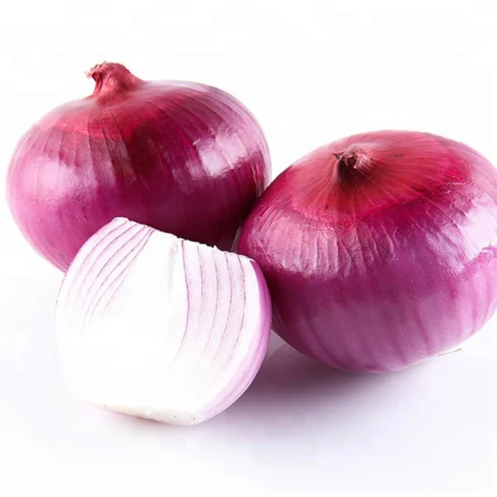 Hot Selling Red Onion Wholesale Fresh Onion with Market Price