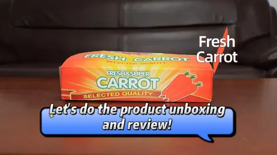 China Export Manufacturer Supply Fresh Vegetables Carrot