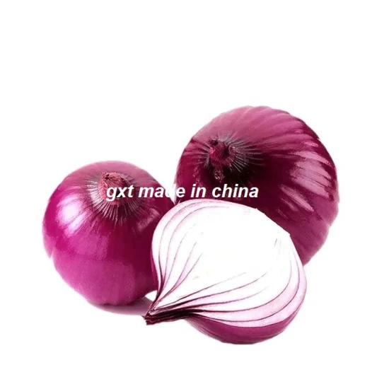 Fresh Red Onion/Onions Exporter