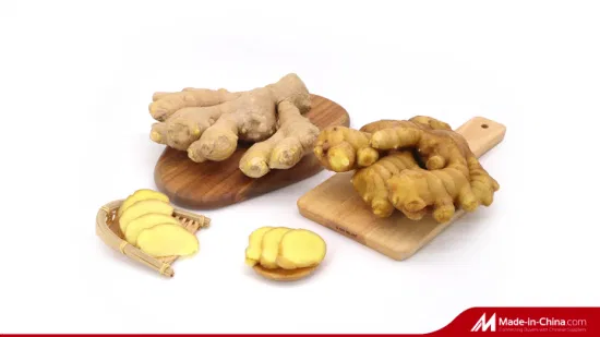 2022 New Crop High Quality Chinese Fresh Ginger for Sale