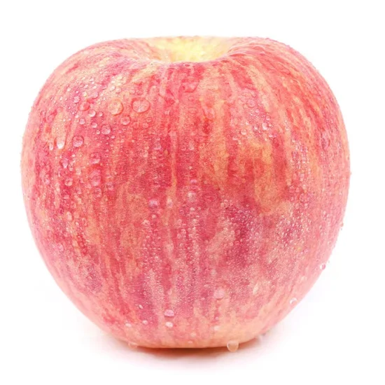 Shanxi Qinguan Apple FUJI Apple High Quality Fresh Apple Gala Apple Factory Price with Certification Hot Sale