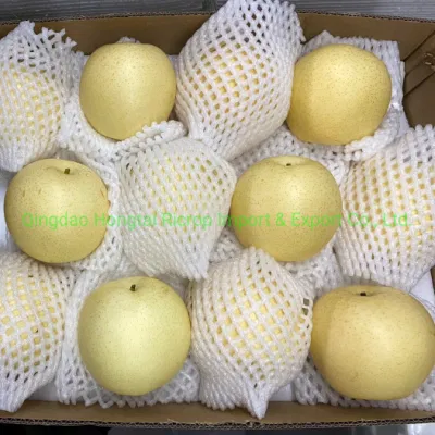 Fresh Sweet Crown Pear Nashi Pear