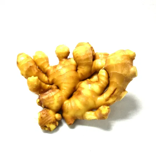 New Crop Fresh Ginger for Sale