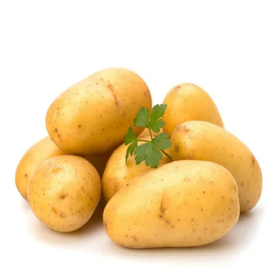 Selling Fresh Potato Export Potato with Good Quality