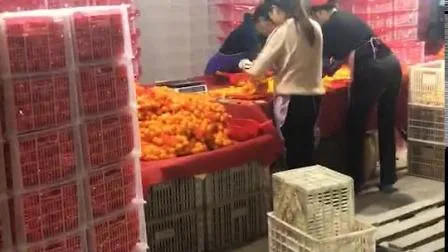 Chinese Orange